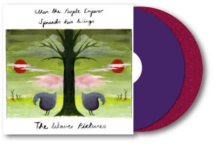 When The Purple Emperor Spreads His Wings - Wave Pictures