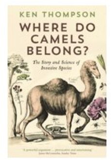 Where Do Camels Belong?