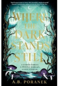 Where The Dark Stands Still - A. B. Poranek