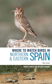 Where to Watch Birds in Northern and Eastern Spain