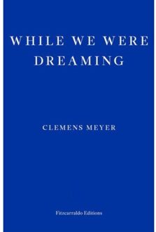 While We Were Dreaming - Clemens Meyer