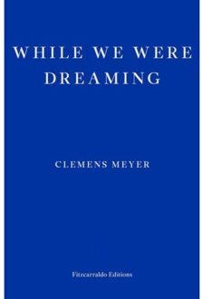 While We Were Dreaming - Clemens Meyer