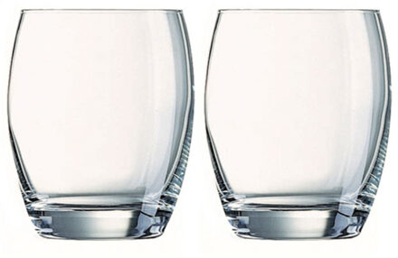 Whisky glazen - 6x - Malea serie - transparant - 300 ml - Whiskeyglazen