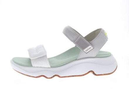 Whit - maat 40 Groen