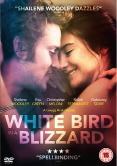 White Bird in a Blizzard