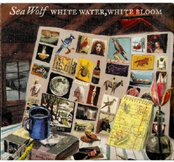 White Water White Bloom