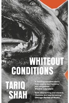 Whiteout Conditions - Tariq Shah