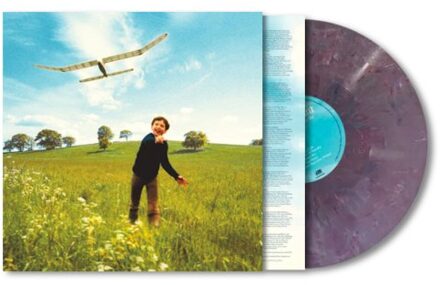 Who We Used To Be -Recycled Vinyl- - James Blunt