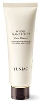 Whole Plant Effect Foam Cleanser 120ml