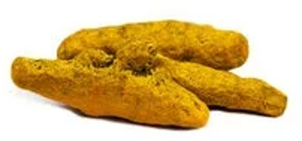 Whole turmeric root