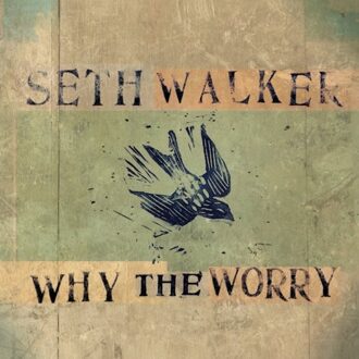 Why The Worry - Seth Walker