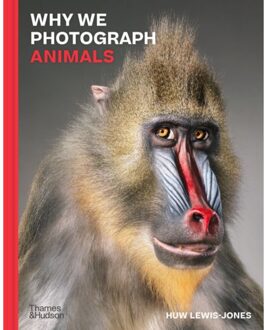 Why We Photograph Animals - Huw Lewis-Jones