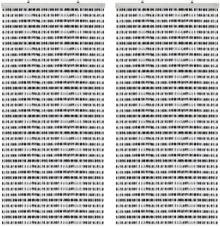 Wicotex Kralengordijn - 2x - zwart - 90 x 220 cm - deurgordijn - vliegenwerend - gordijn met kralen