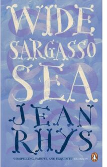 Wide Sargasso Sea - Boek Jean Rhys (0241951550)