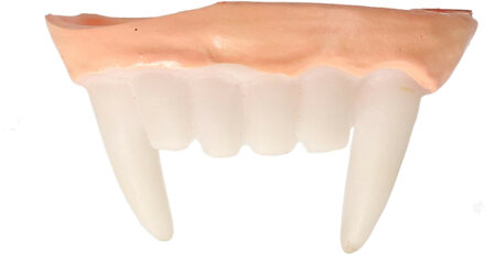 Widmann Vampier tanden voor kinderen Halloween - Accessoires > Tanden > Nepgebit