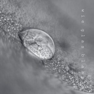 Wie Glas Blaast - Dietske Geerlings