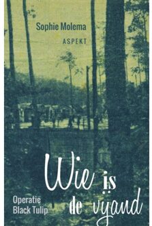 Wie is de vijand - Boek Sophie Molema (9463383565)