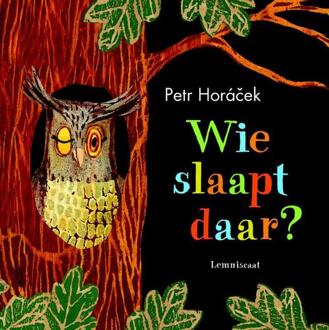 Wie slaapt daar? - Boek Petr Horacek (9047709918)