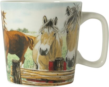 Wiebe van der Zee Wiebe's Farm Minimok paard 23cl 6st wit