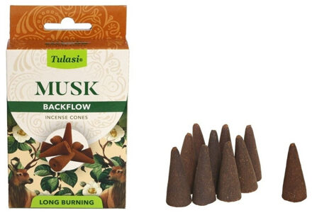 Wierook kegeltjes in huisgeur Musk - 10x kleine kegeltjes