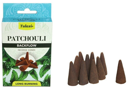 Wierook kegeltjes in huisgeur Patchouli - 10x kleine kegeltjes