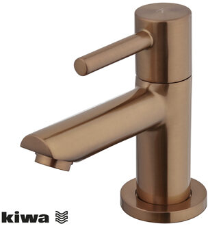 Wiesbaden Amador Fonteinkraan - Toiletkraan - Koudwaterkraan - Kiwa - 1/2 - Geborsteld Brons Koper