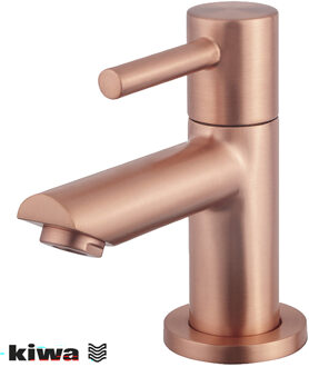 Wiesbaden Amador Fonteinkraan - Toiletkraan - Koudwaterkraan - Kiwa - 1/2 - Geborsteld Koper