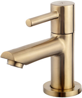 Wiesbaden Amador Fonteinkraan - Toiletkraan - Koudwaterkraan - Kiwa - 1/2 - Geborsteld Messing