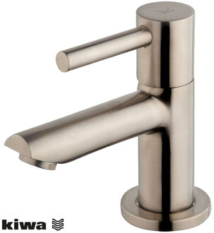 Wiesbaden Amador Fonteinkraan - Toiletkraan - Koudwaterkraan - Kiwa - 1/2 - Geborsteld Staal