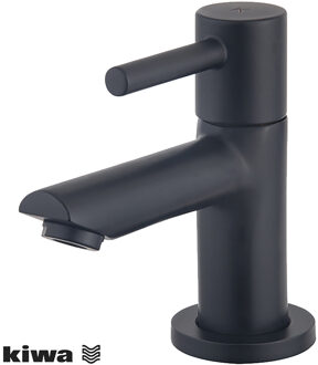 Wiesbaden Amador Fonteinkraan - Toiletkraan - Koudwaterkraan - Kiwa - 1/2 - Mat Zwart