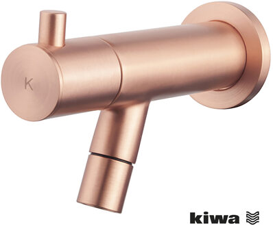 Wiesbaden Amador Fonteinkraan - Toiletkraan - Koudwaterkraan - Muurbevestiging - Kiwa - 1/2 - Geborsteld Koper