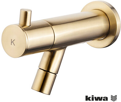 Wiesbaden Amador Fonteinkraan - Toiletkraan - Koudwaterkraan - Muurbevestiging - Kiwa - 1/2 - Geborsteld Messing