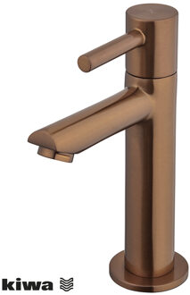 Wiesbaden Amador Fonteinkraan - Toiletkraan - Koudwaterkraan - XL - Kiwa - 1/2 - Geborsteld Brons Koper