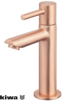 Wiesbaden Amador Fonteinkraan - Toiletkraan - Koudwaterkraan - XL - Kiwa - 1/2 - Geborsteld Koper