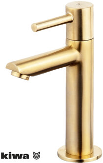 Wiesbaden Amador Fonteinkraan - Toiletkraan - Koudwaterkraan - XL - Kiwa - 1/2 - Geborsteld Messing