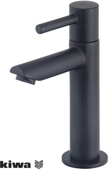 Wiesbaden Amador Fonteinkraan - Toiletkraan - Koudwaterkraan - XL - Kiwa - 1/2 - Mat Zwart