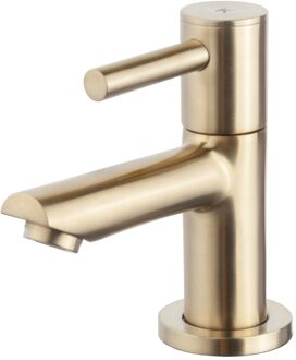 Wiesbaden Amador toiletkraan, geborsteld messing