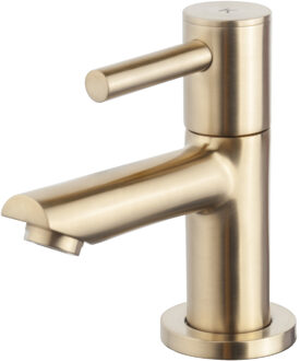 Wiesbaden Amador toiletkraan, geborsteld messing