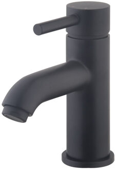 Wiesbaden Cadans wastafelkraan mat-zwart