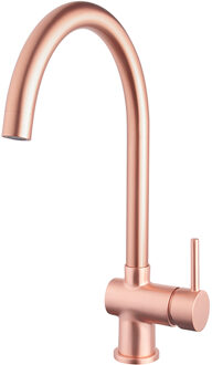 Wiesbaden Caral Keukenmengkraan Geborsteld Koper Stijlvol Design