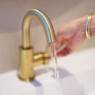 Wiesbaden Caral Wastafelkraan met Draaibare Uitloop - Geborsteld Messing