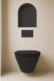 Wiesbaden Demis Inbouwnis - Ovaal - 30x45x7cm - Mat Zwart