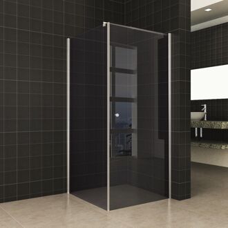 Wiesbaden Douchecabine Wiesbaden met Deur 8mm en Vaste wand 10mm NANO Rookglas (verschillende opties)