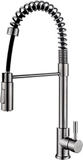 Wiesbaden Floyd RVS Keukenkraan met Coldstart en Handdouche
