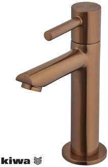 Wiesbaden Fonteinkraan Wiesbaden Amador XL Hoog 1/2 Geborsteld Brons Koper