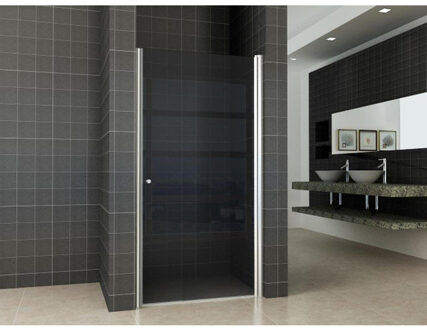 Wiesbaden nisdeur met profiel 1000x2020 8mm NANO rookglas