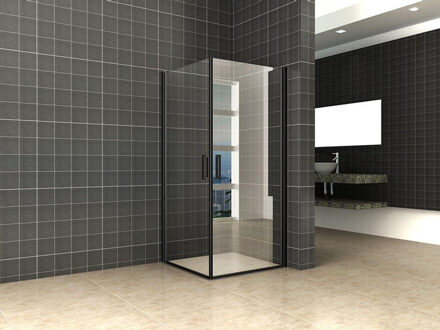 Wiesbaden Salone cabine met 2 draaideuren 900 x 900 x 2000 x 8 mm nano helder glas/mat zwart 20.3918 Zwart mat