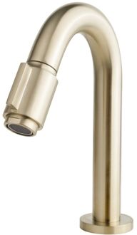 Wiesbaden Victoria fonteinkraan hoge uitloop geborsteld messing PVD