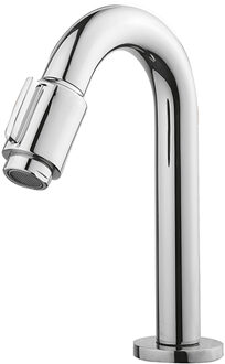 Wiesbaden Victoria Fonteinkraan - Toiletkraan - Koudwaterkraan - 1/2 - Chroom