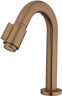 Wiesbaden Victoria Fonteinkraan - Toiletkraan - Koudwaterkraan - 1/2 - Geborsteld Brons Koper